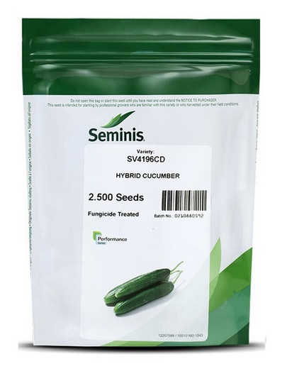 بذر خیار هیبربد 4196 سمینیس | Cucumber CV4196 F1 Seminis