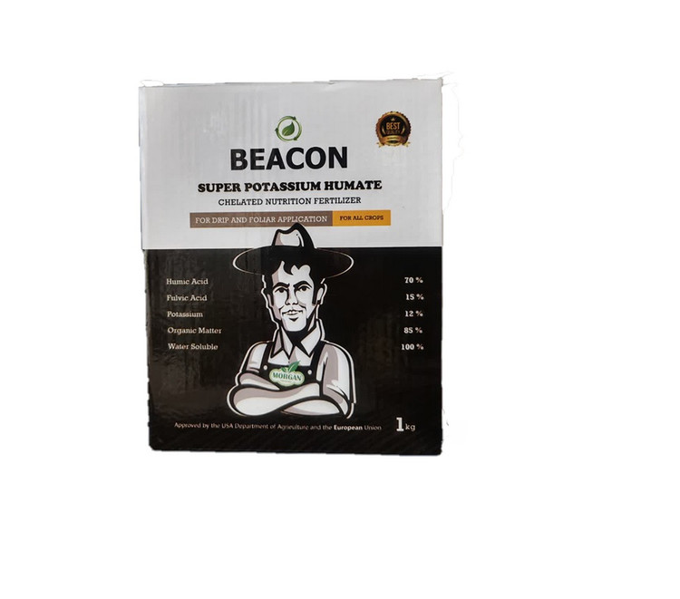 کود سوپر پتاسیم هیومات بیکن چین 1 کیلویی | BEACON