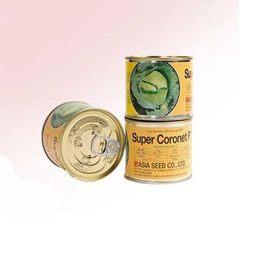 بذر کلم پیچ هیبرید سوپر کورنت آسیاسیدز کره جنوبی | Super Coronet F1 Cabbage