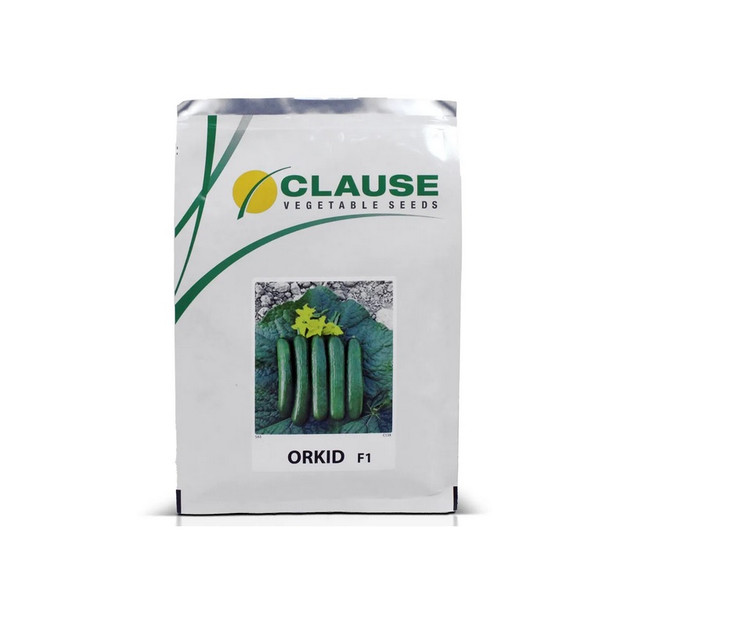 بذر خیار هیبرید کلوز ارکید پاکت 2500 عددی | Clause ORKID Cucumber