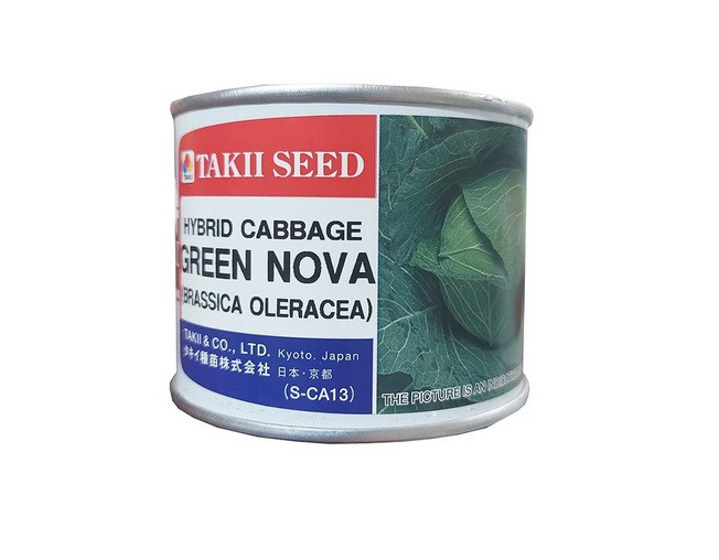 بذر کلم پیچ گرین نوا تاکی سید وزن 100 گرم | GREEN NOVA Cabbage