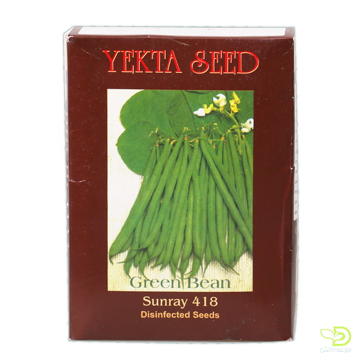 بذر لوبیا سبز یکتا 1 کیلویی | Bean YEKTA SEED