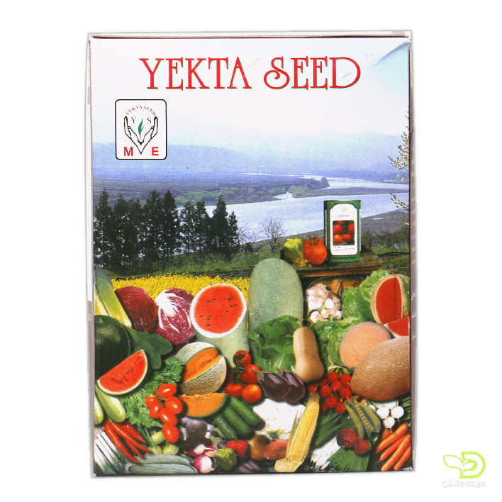 بذر لوبیا سبز یکتا 1 کیلویی | Bean YEKTA SEED
