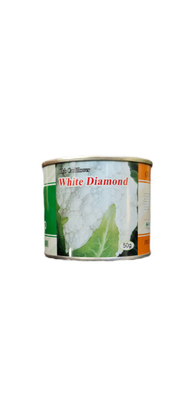 بذر گل کلم وایت دیاموند | White Diamond Cabbage