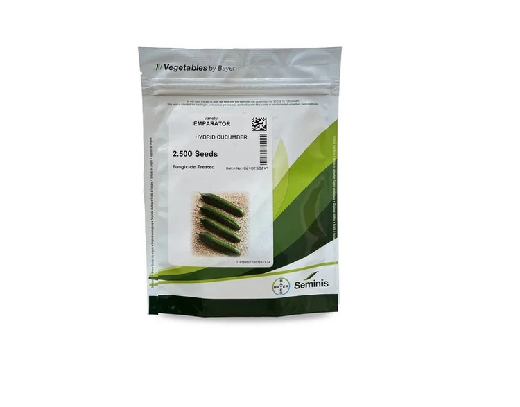 بذر خیار هیبرید سمینیس امپراطور | Seminis Cucumber Emparator F1