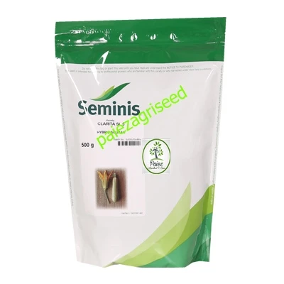 بذر کدو خورشتی کلاریتا SL5 (تک گل) سمینیس0.5 کیلویی | Seminis Clarita